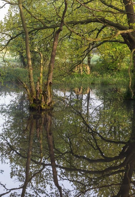 Soulton Hall Wem Bagian luar foto